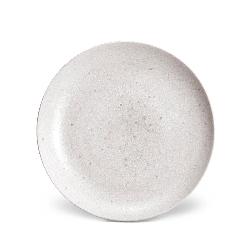 modern dinnerware for special occasions-Terra Dinner Plate - Stone