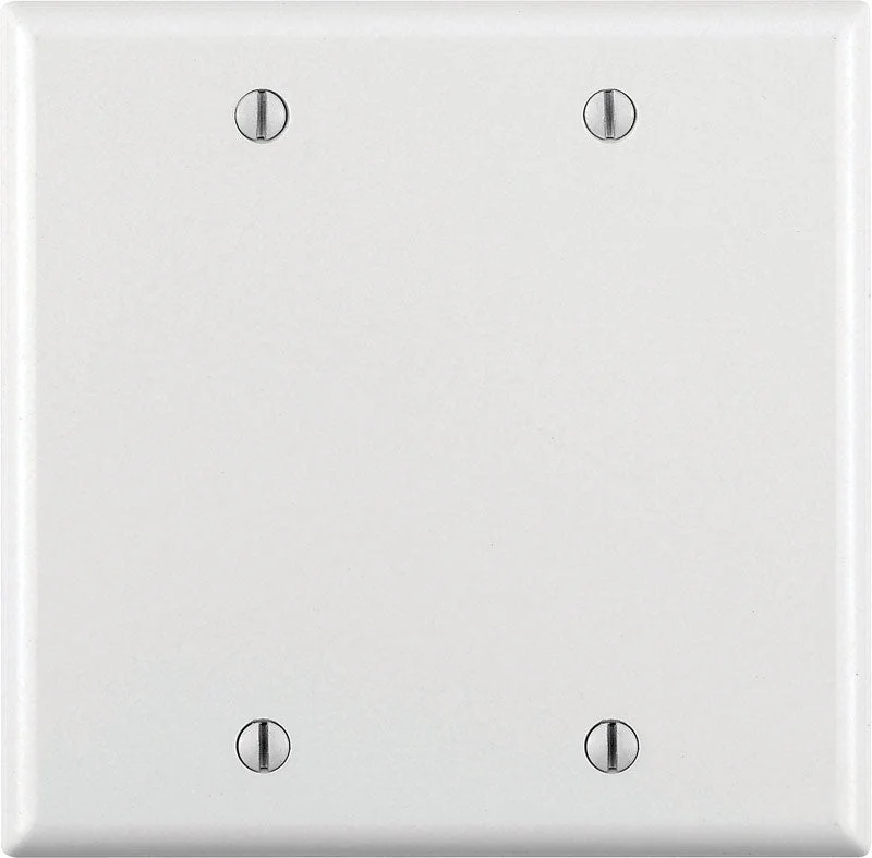 modern dinner plates for contemporary dining-Leviton White 2 gang Plastic Blank Wall Plate 1 pk