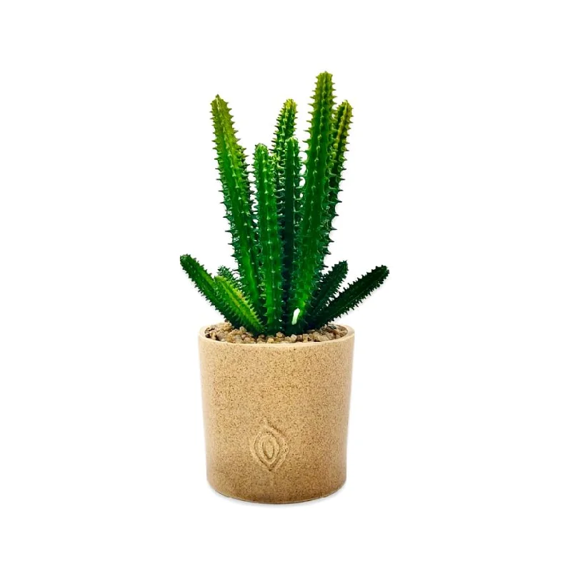 Beautiful handmade ceramic flower vases for home use -Cactus Plant With Sandy Texture Pot