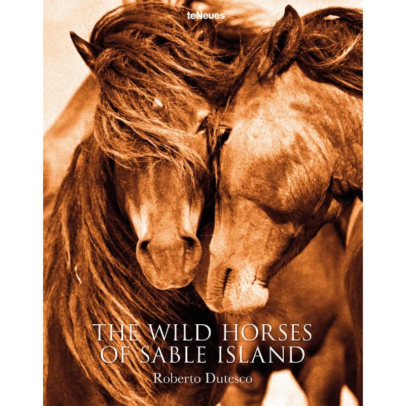 Large decorative flower vases for dining rooms -Wild Horses of Sable Island