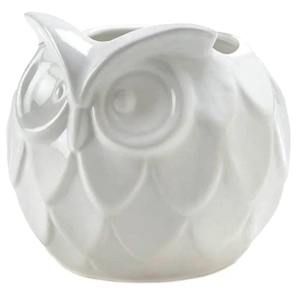 Designer crystal vases for elegant home displays -White Ceramic Owl Vase