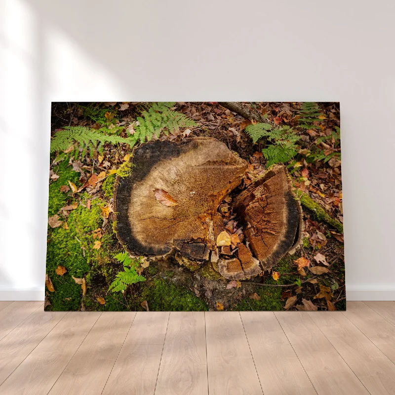 modern coastal art prints for living room-Adirondack Stump Canvas Set