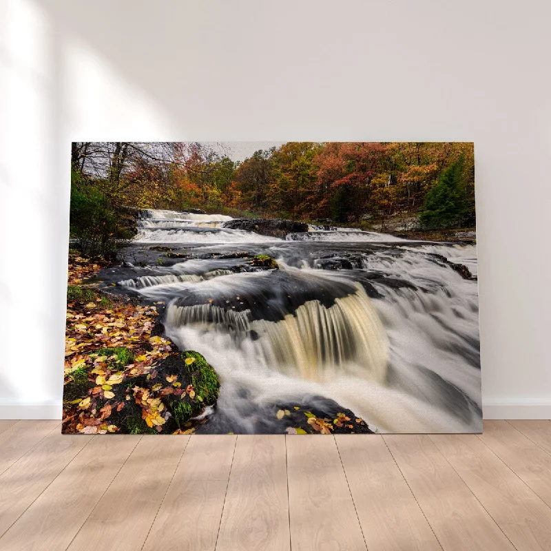 creative nature photography wall art-Main Stage