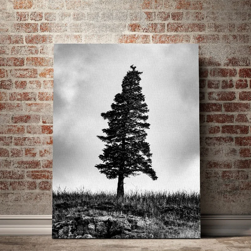 tropical photography canvas wall art-Pine Canvas Set