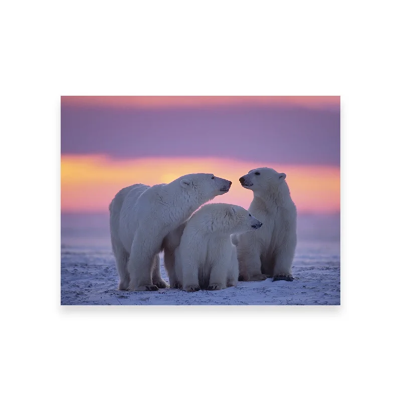 geometric city art for bedroom-Polar Bear Family - Canadian Arctic