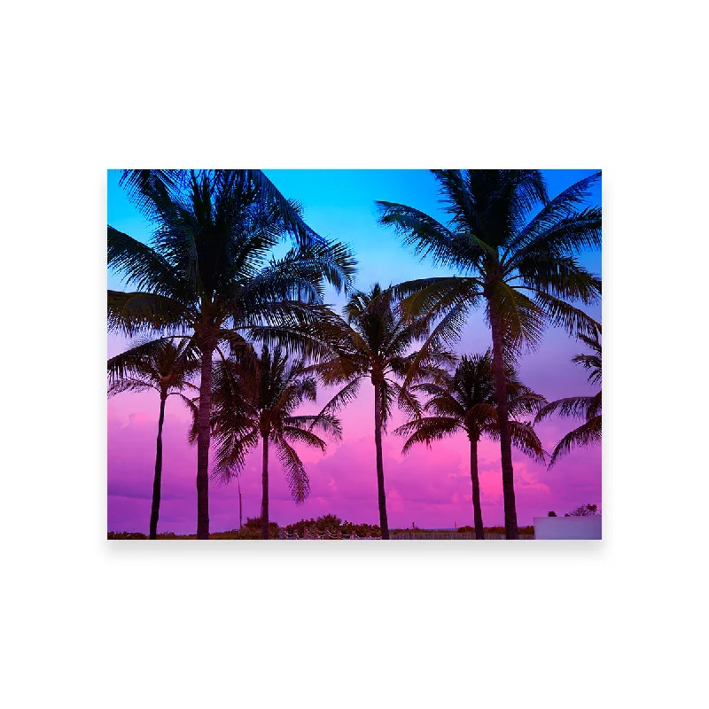 creative abstract botanical art-South Beach Sunset