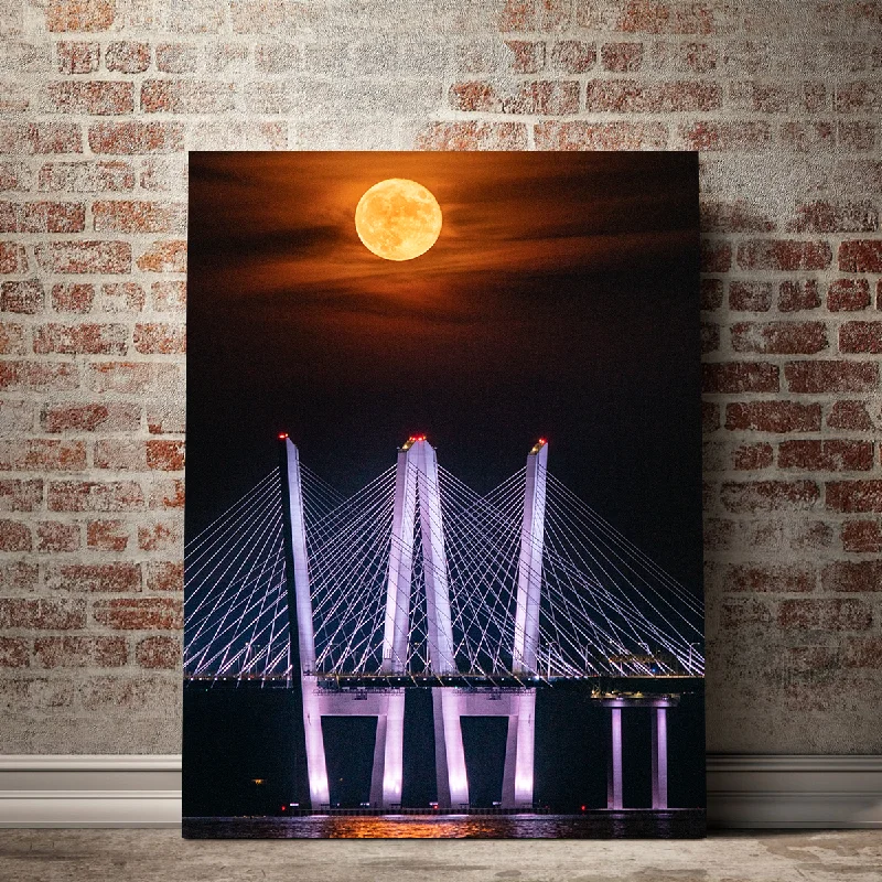 modern minimalist floral prints for wall-Tappan Zee Bridge